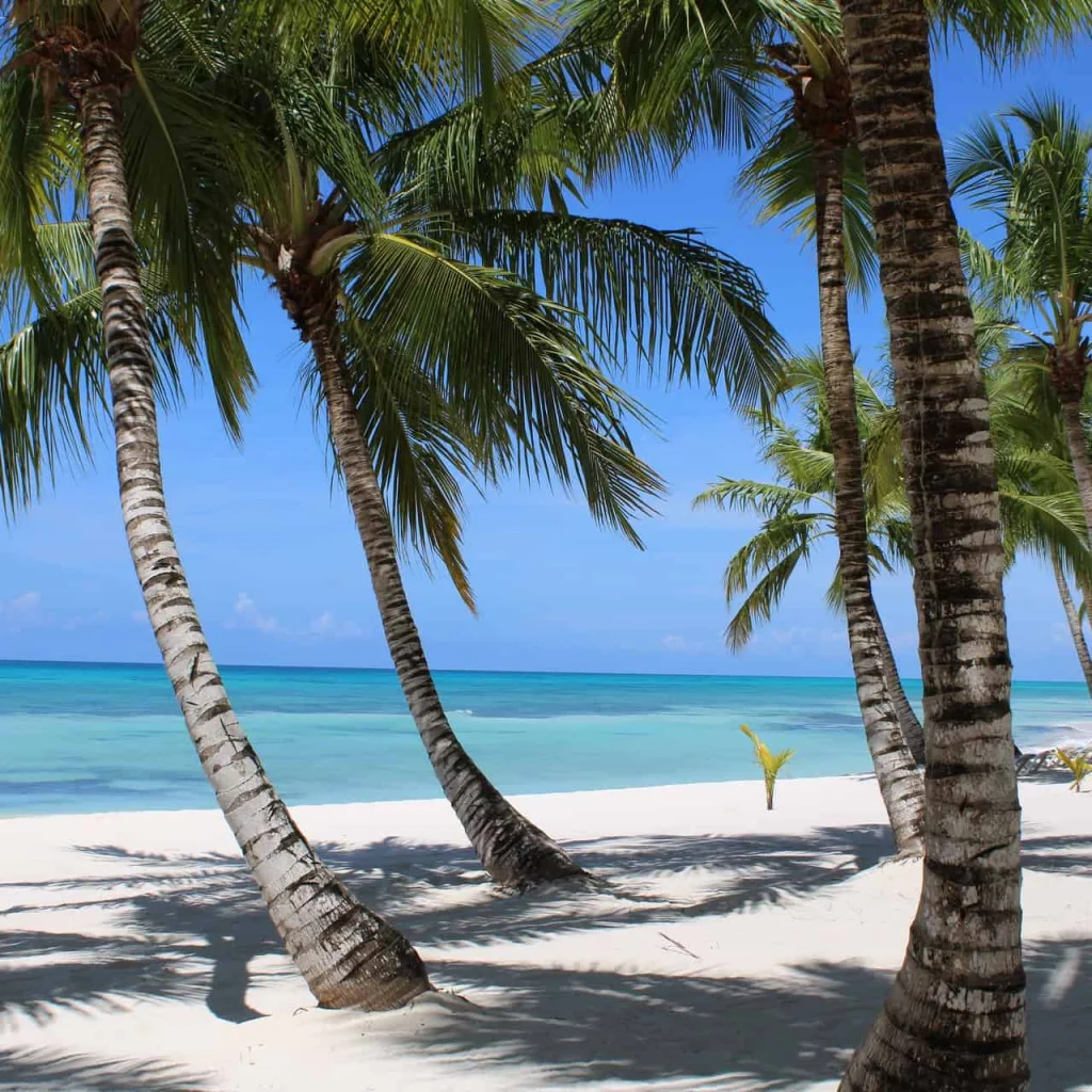 punta cana beach