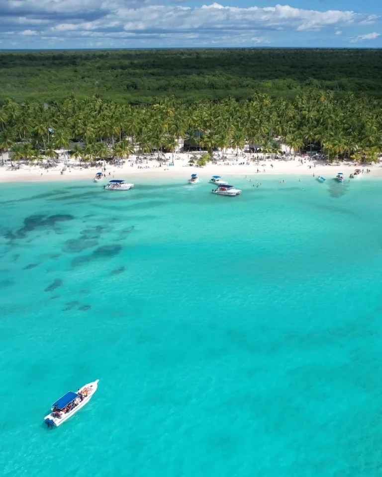 Saona Island From Punta Cana