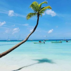 Saona Island In Punta Cana