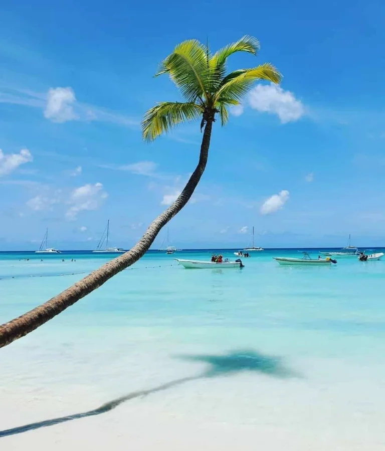Saona Island Tour