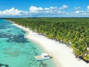 Tour to Saona Island from Punta Cana