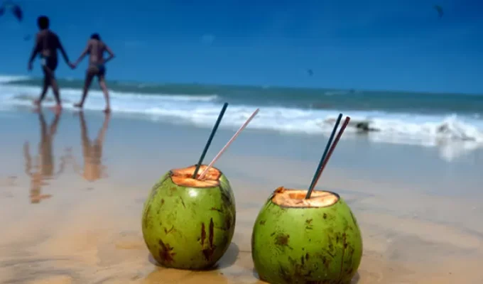 Coco Loco In Punta Cana