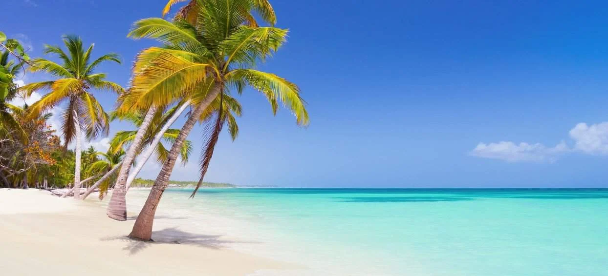 Bávaro Beach with palm trees and turquoise water