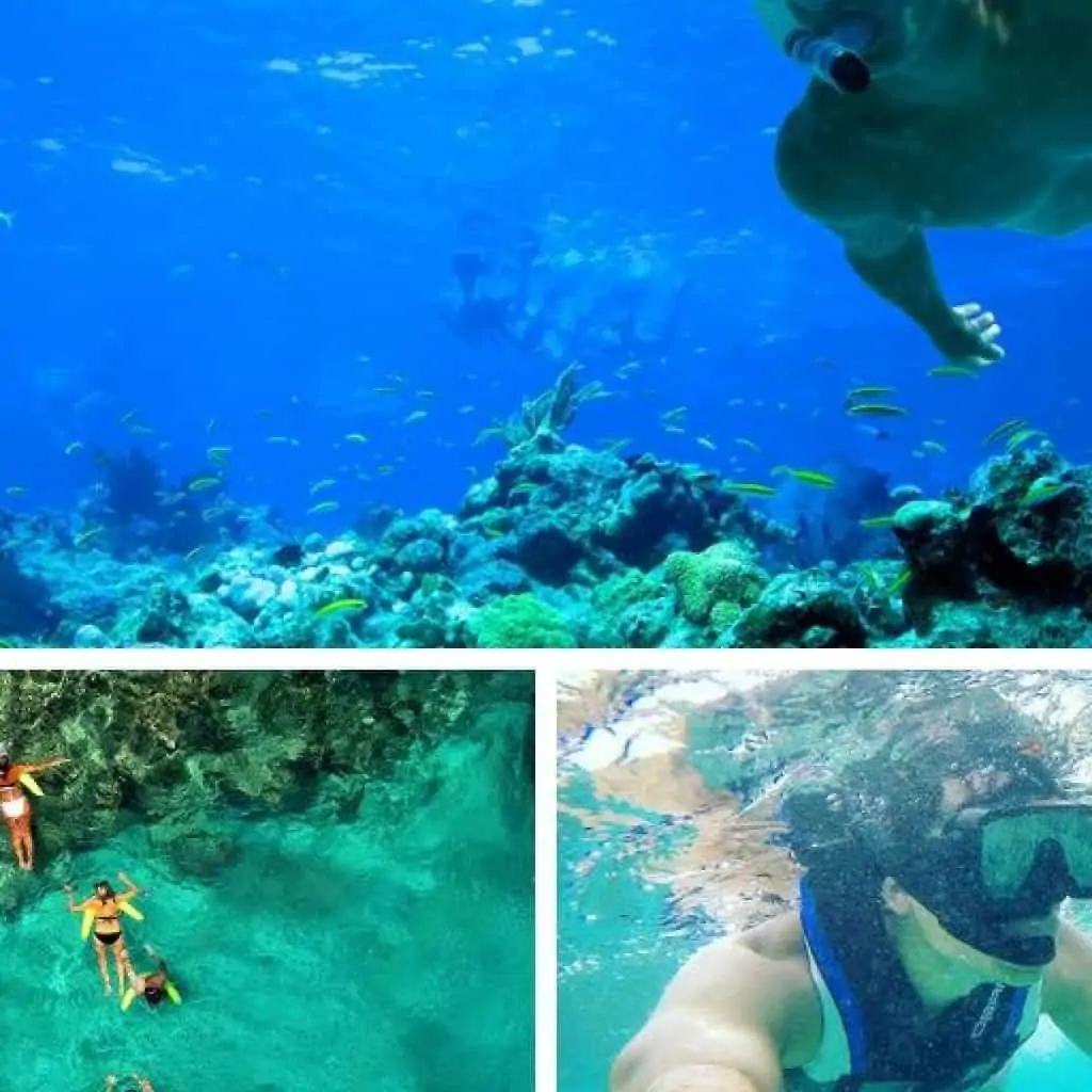 snorkeling-in-punta-cana