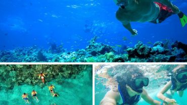 snorkeling-in-punta-cana