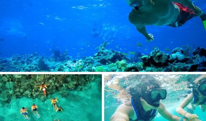 snorkeling-in-punta-cana