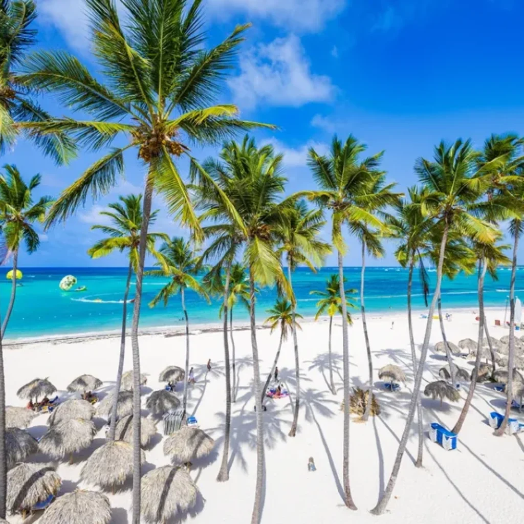 Vacation In Punta Cana