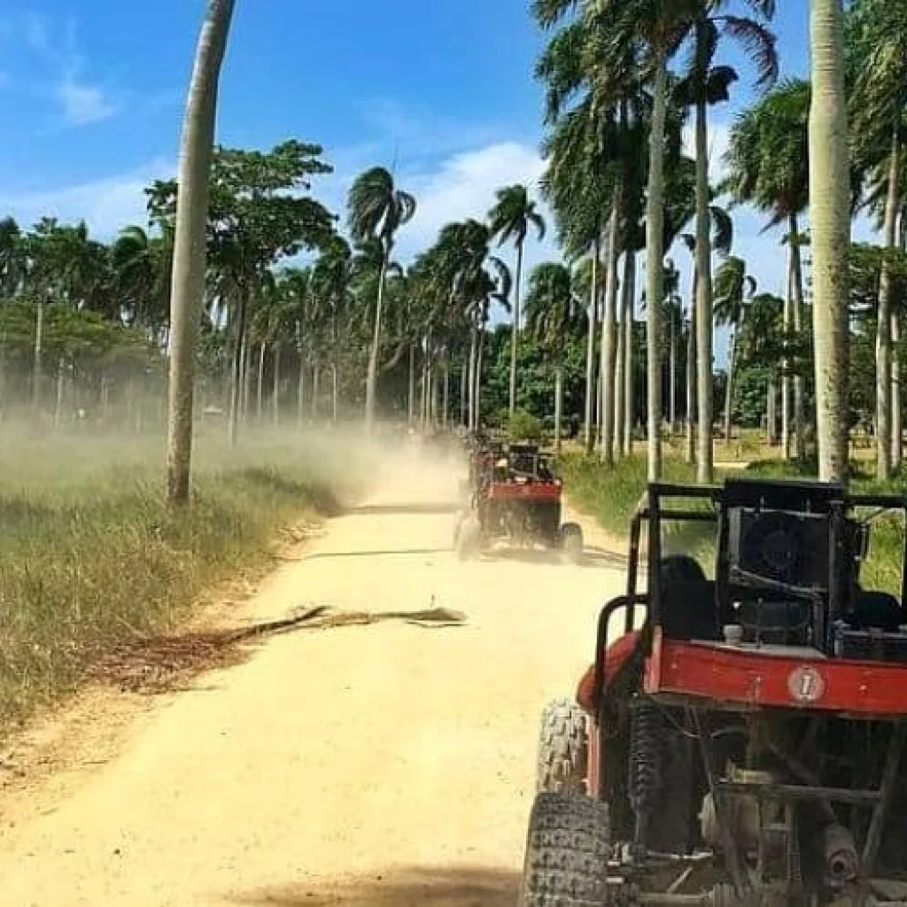 Dune Buggy Excursion Adventure from Punta Cana