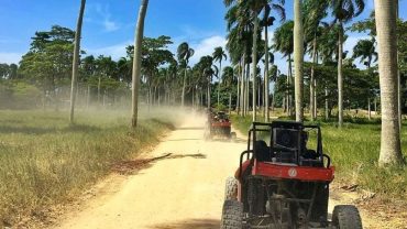 Dune Buggy Excursion Adventure from Punta Cana