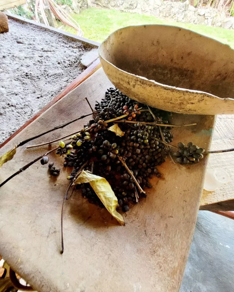 Punta Cana Buggies Coffe Beans
