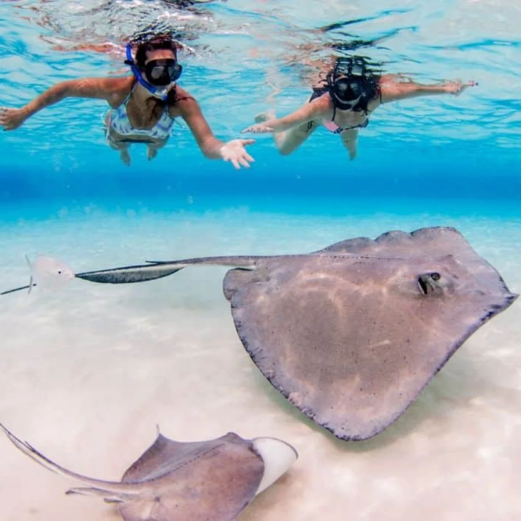 Caribbean Pirates from Punta Cana