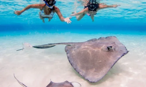 Caribbean Pirates from Punta Cana