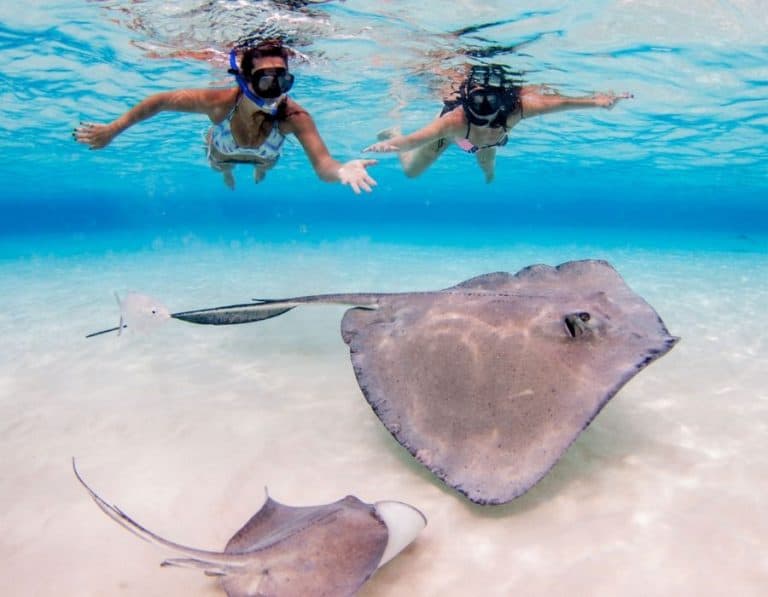 Caribbean Pirates from Punta Cana