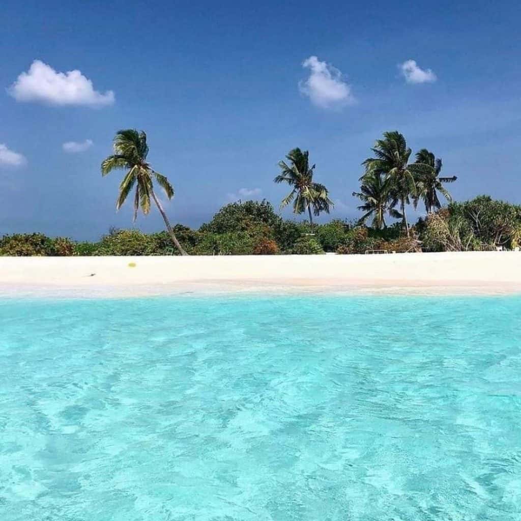 Visite de l'île de Catalina Punta Cana