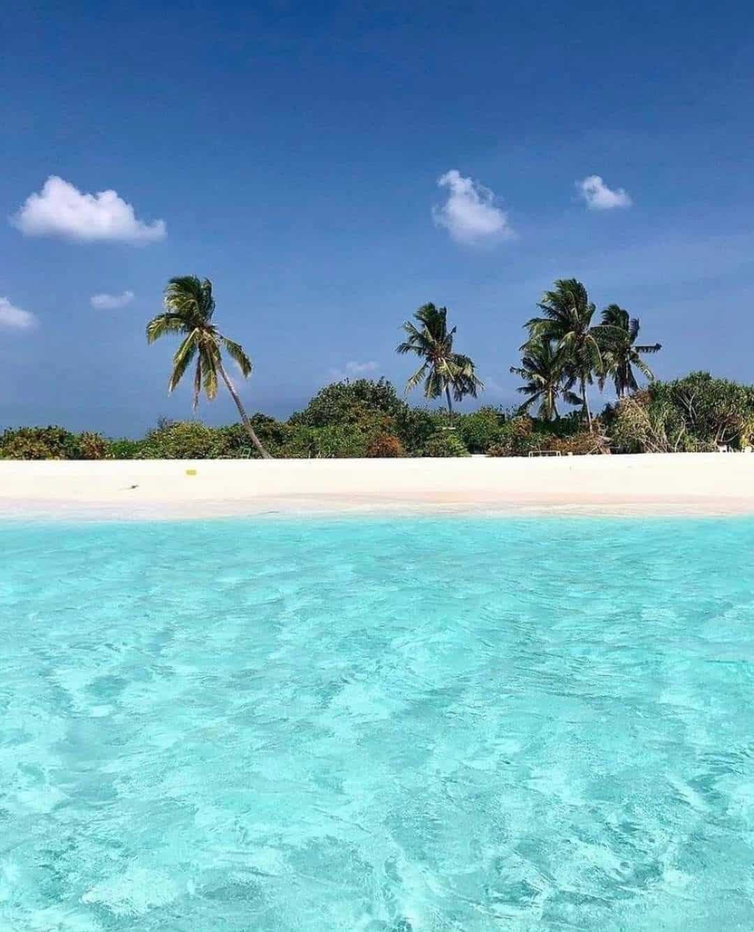 Excursión a la Isla Catalina Punta Cana