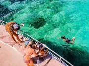 Catamaran And Snorkeling From Punta Cana