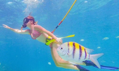 Diving from Punta Cana