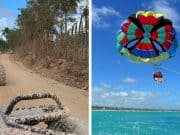 Dune Buggy and Parasailing Combo