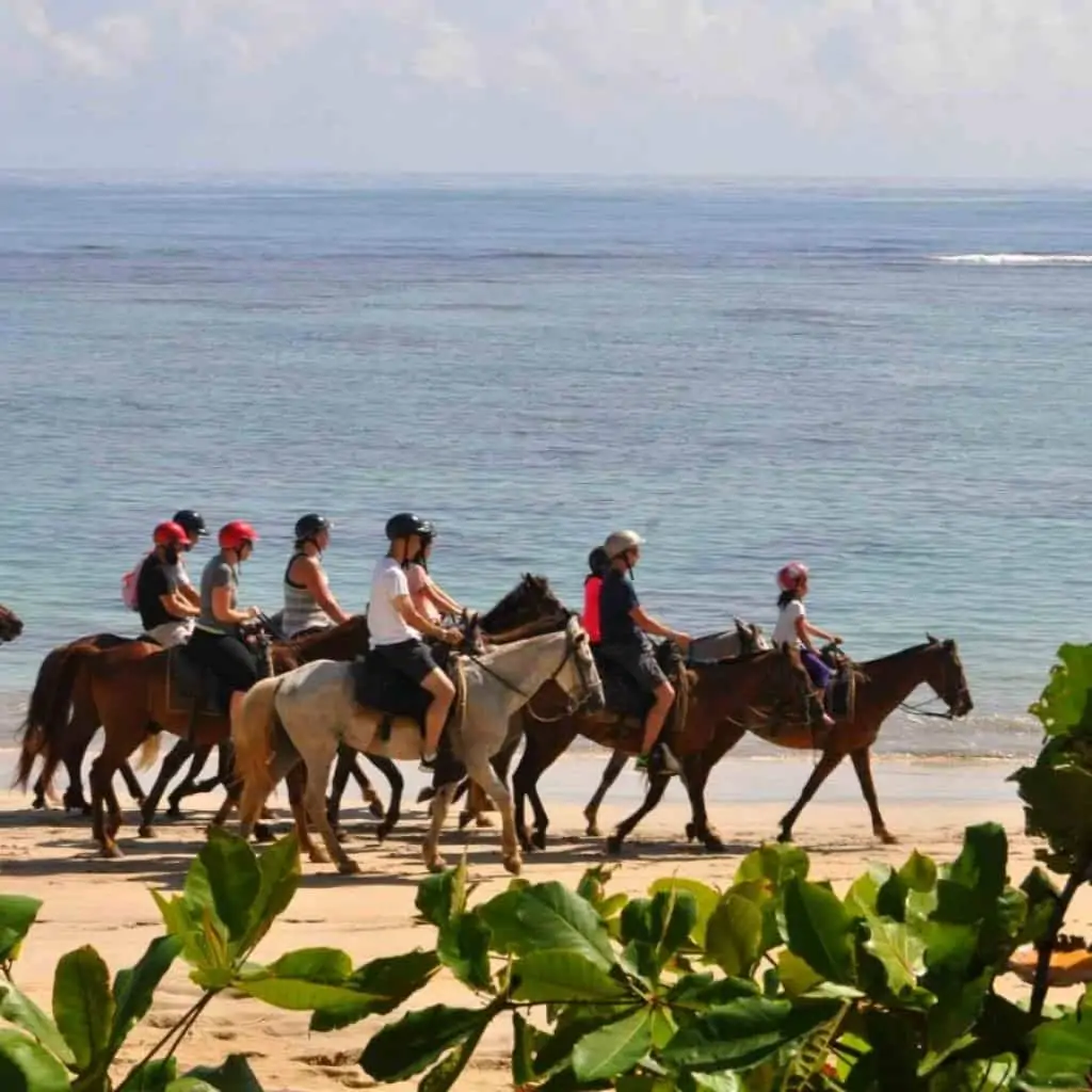 Punta Cana Beach Horseback Riding tour