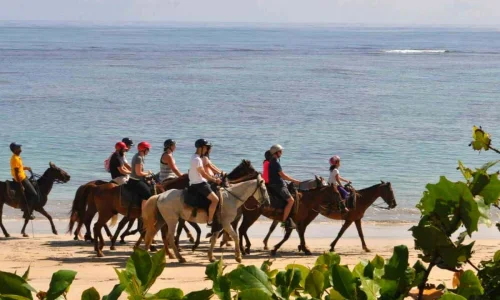 Horseback Riding Punta Cana
