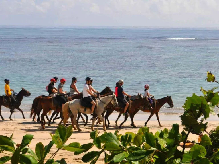 Horseback Riding Punta Cana