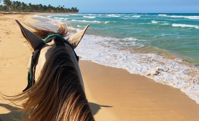 Schedule Punta Cana excursions & tours before you arrive