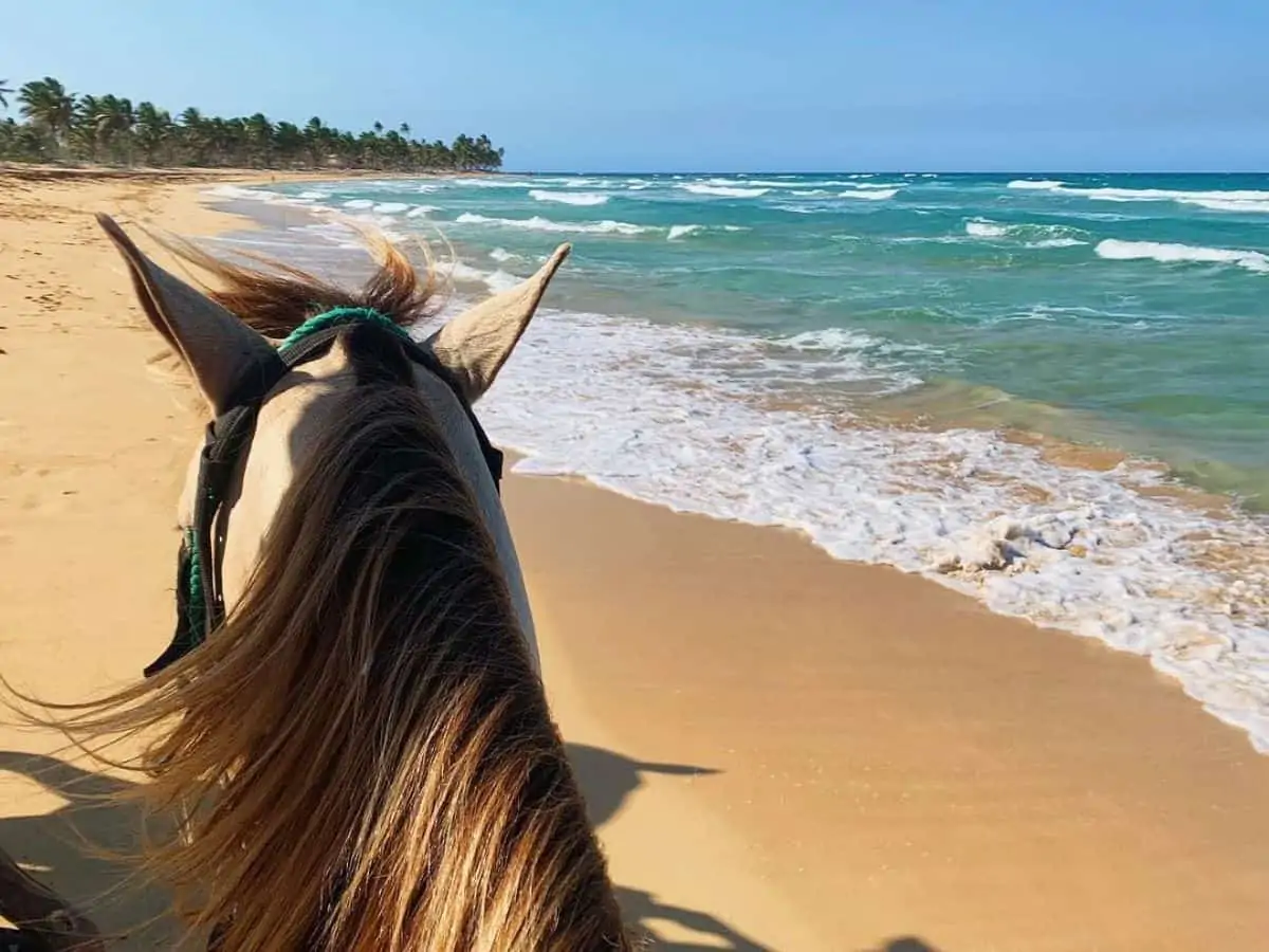 Beach Horseback Riding from Punta Cana