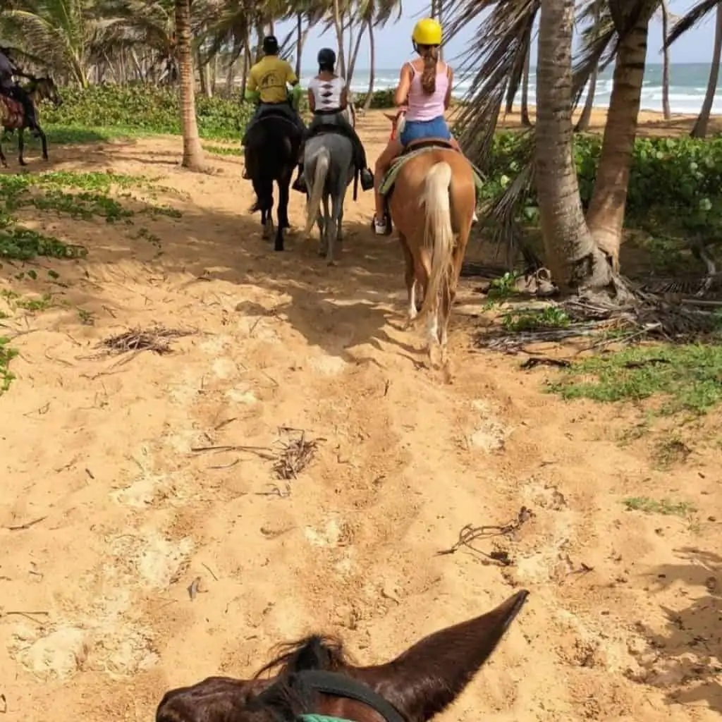 Beach Horseback riding in Punta Cana