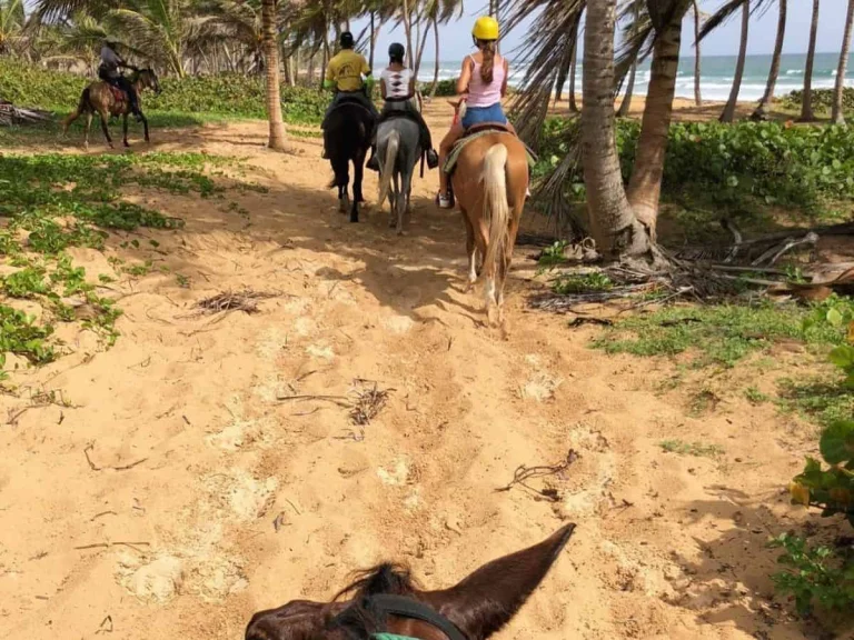 Beach Horseback riding in Punta Cana