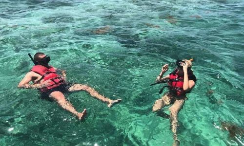 Snorkeling Punta Cana