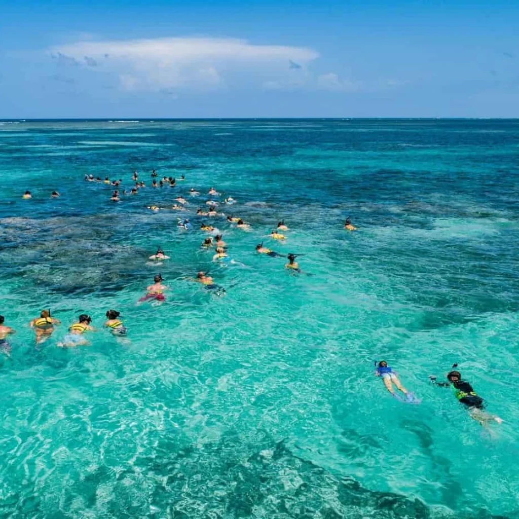 Snorkeling from Punta Cana_
