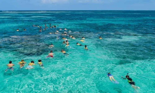 Snorkeling from Punta Cana_