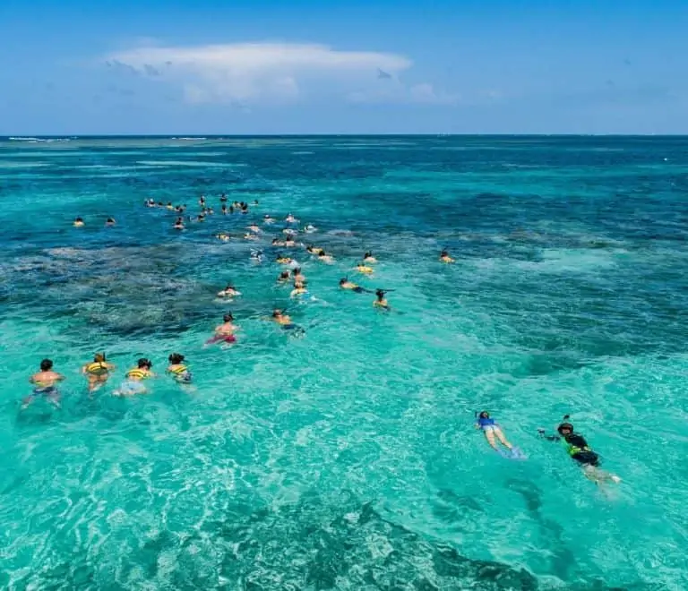 Snorkeling from Punta Cana_