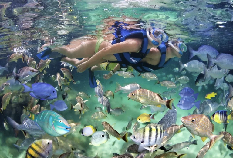 Snorkeling, Parasailing and Party Boat in Punta Cana