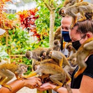 Monkeyland tour from Punta Cana by Punta Cana Adventures