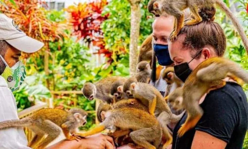 Monkeyland tour from Punta Cana by Punta Cana Adventures