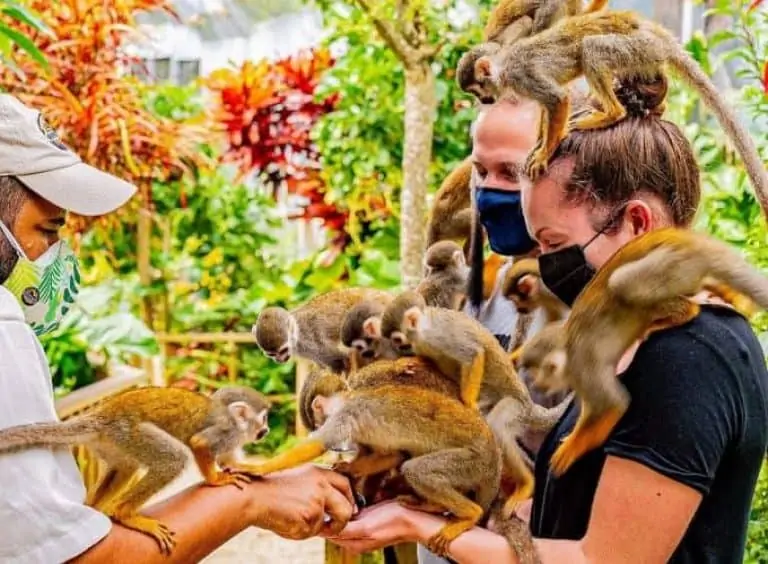 Monkeyland tour from Punta Cana - Punta Cana