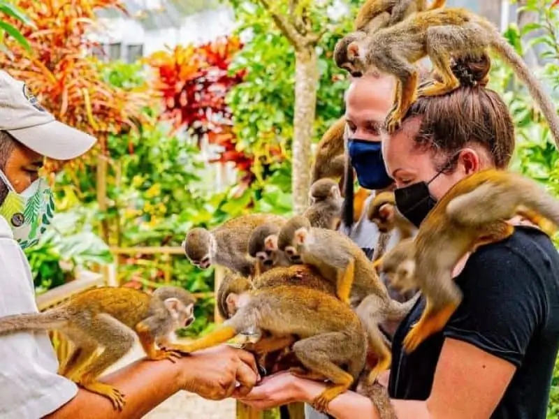 Programmez les excursions et visites de Punta Cana avant votre arrivée.