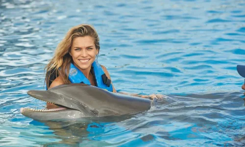 Dolphin Encounter in Punta Cana Adventures