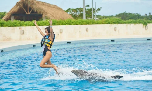 Dolphin Royal Swim in Punta Cana Adventures