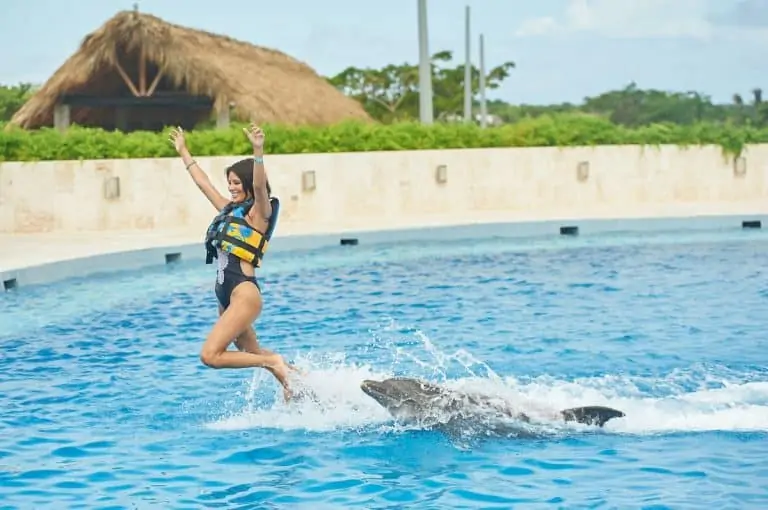 Dolphin Royal Swim in Punta Cana Adventures