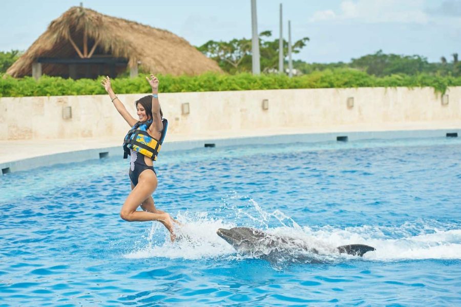 Dolphin Royal Swim in Punta Cana in Punta Cana, Dominican Republic