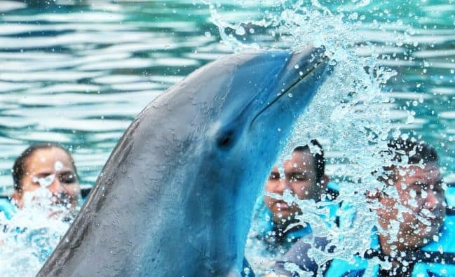 Schedule Punta Cana excursions & tours before you arrive