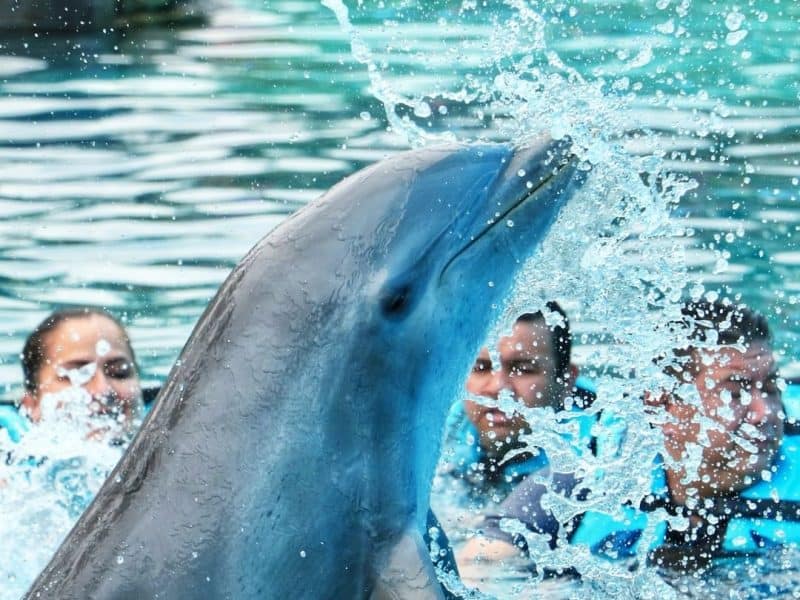 Programmez les excursions et visites de Punta Cana avant votre arrivée.