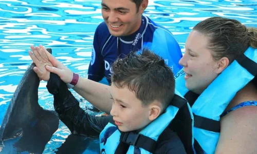 Swimming with dolphins in Punta Cana
