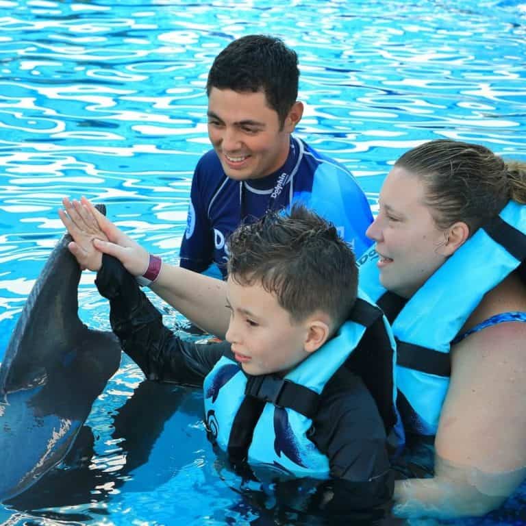 Swimming with dolphins in Punta Cana