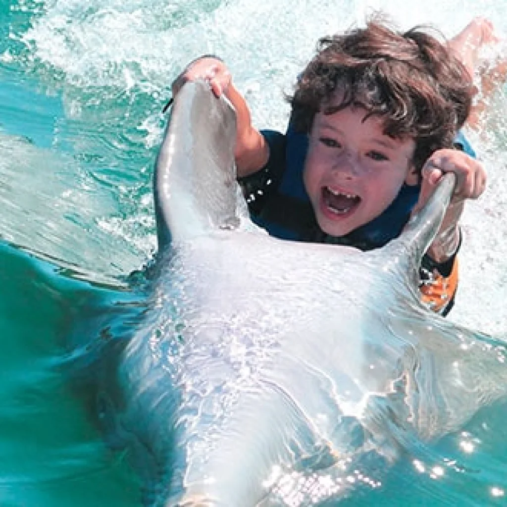 belly-ride-punta-cana