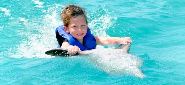 dolphin-activities-for-kids