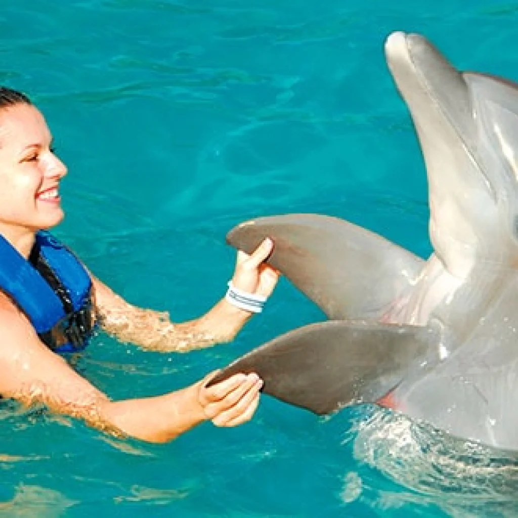 Catamaran & Dolpphin Encounter In Punta Cana