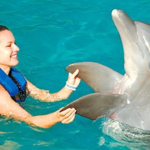 Dolphin Encounter In Punta Cana